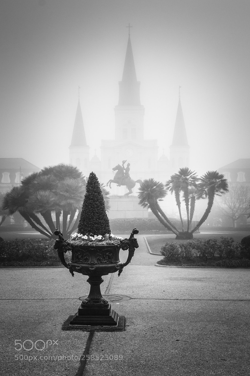 Canon EOS 80D sample photo. Jackson square in the photography