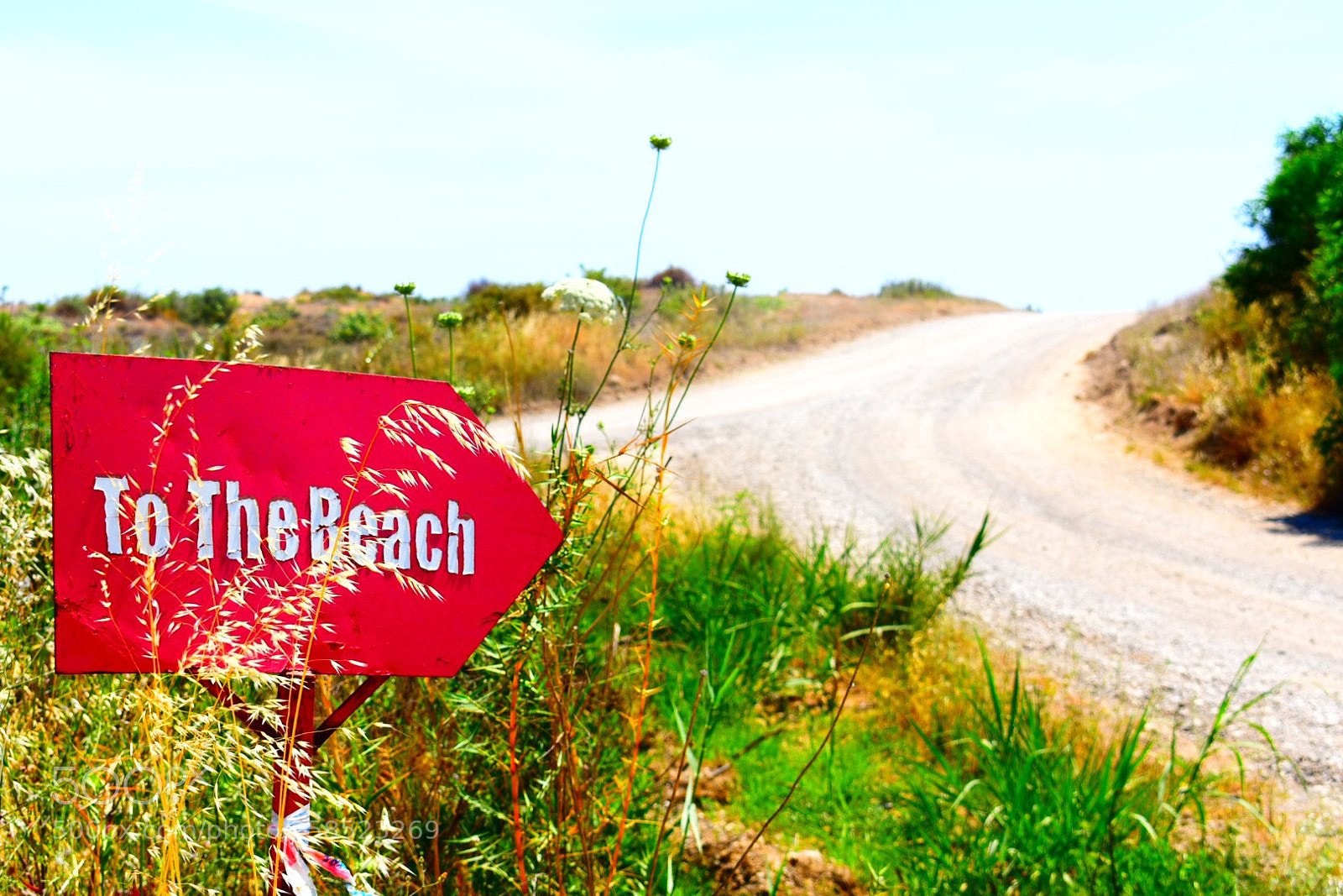 Nikon D3400 sample photo. To the beach photography