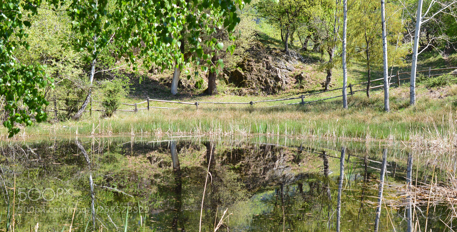 Nikon D3200 sample photo. Castelfeder photography