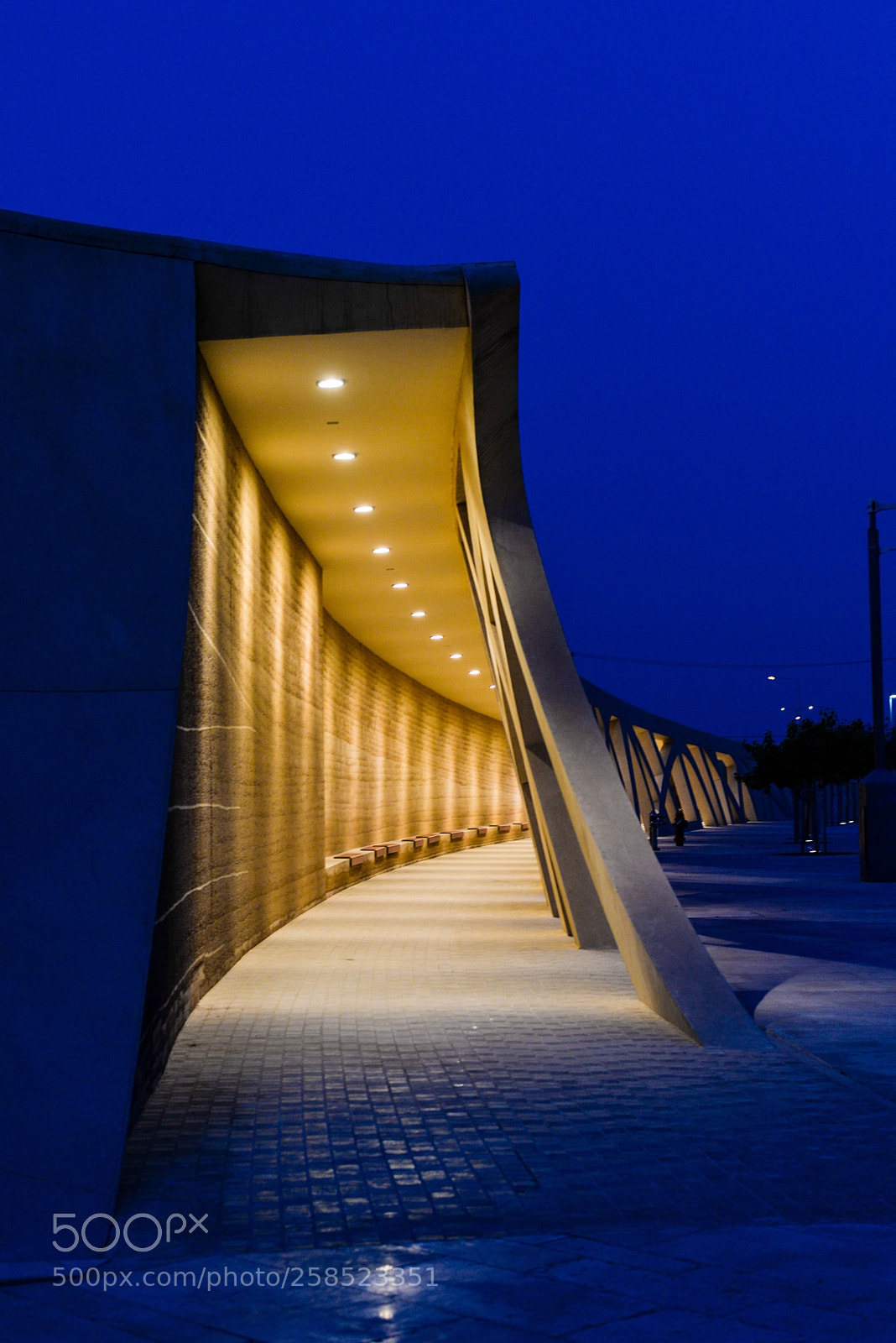 Nikon D610 sample photo. Walkway infinum photography