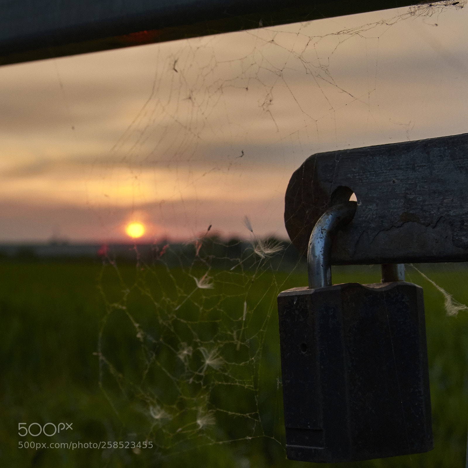 Nikon D7200 sample photo. Hertfordshire sunset photography