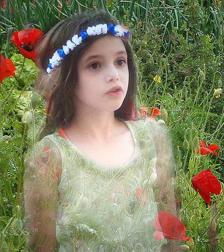 Samsung Galaxy Camera (Wi-Fi) sample photo. Les fleurs photography