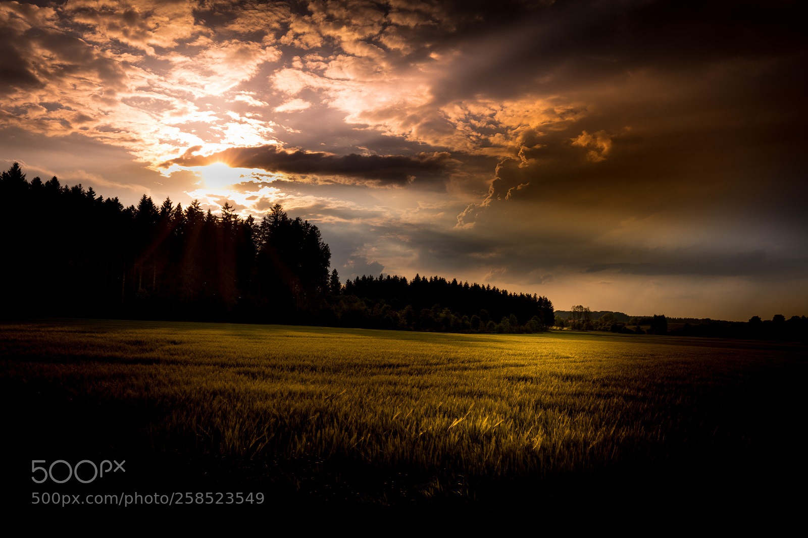 Canon EOS 5D Mark IV sample photo. Sunburst photography