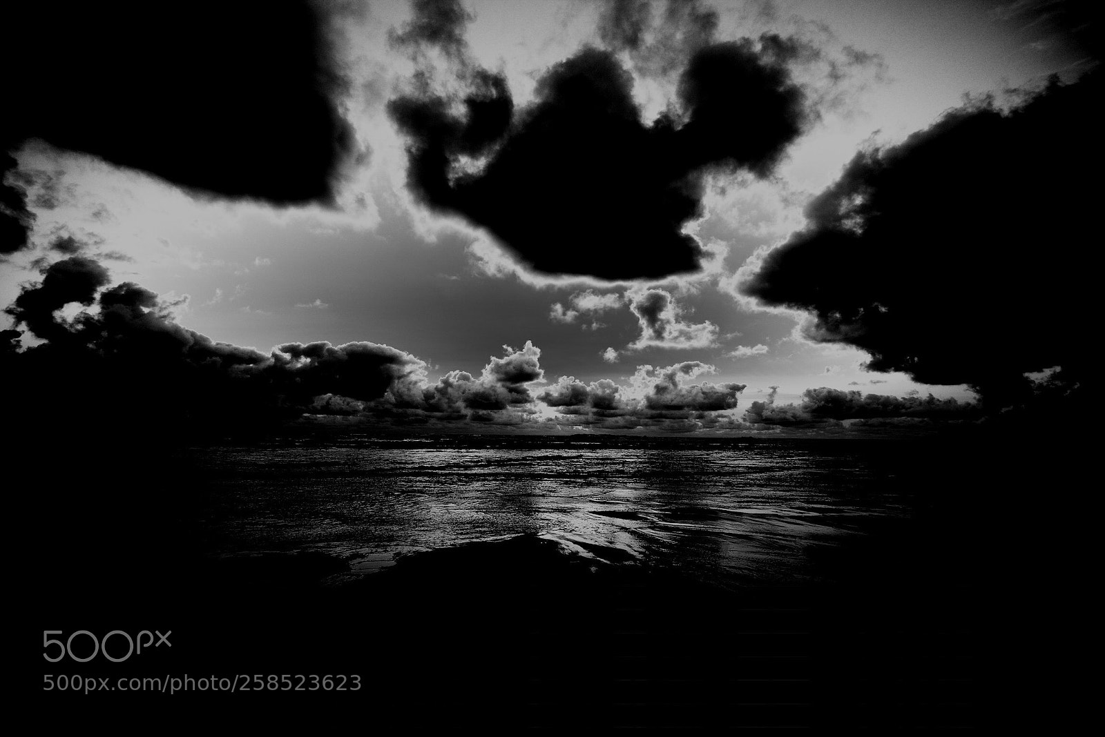 Nikon D610 sample photo. Untitled photography