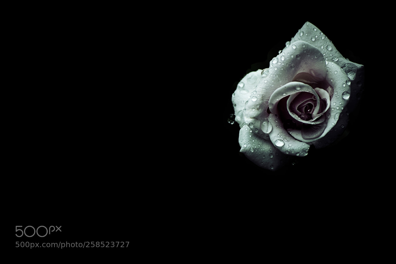 Nikon D5300 sample photo. Surrounded by darkness photography