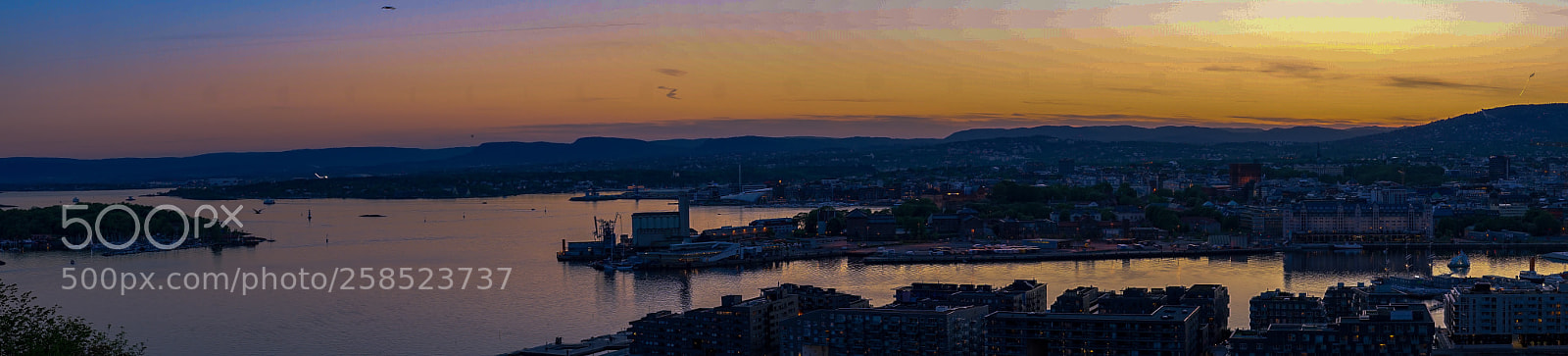 Sony a7 II sample photo. "oslofjord" photography