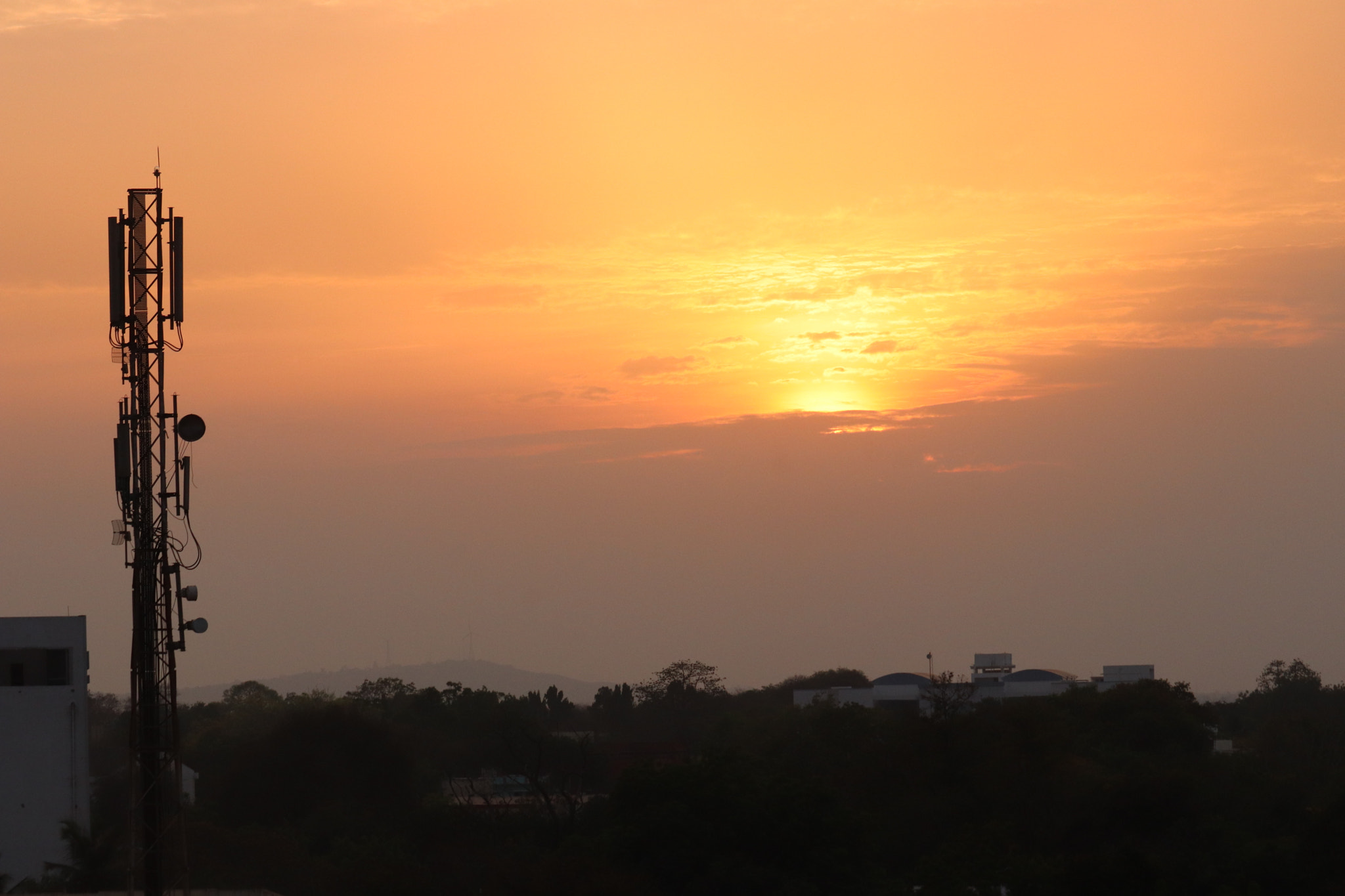 Canon EF-S 55-250mm F4-5.6 IS STM sample photo