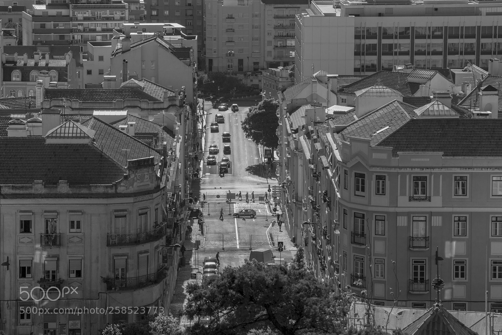 Nikon D610 sample photo. Street photography photography