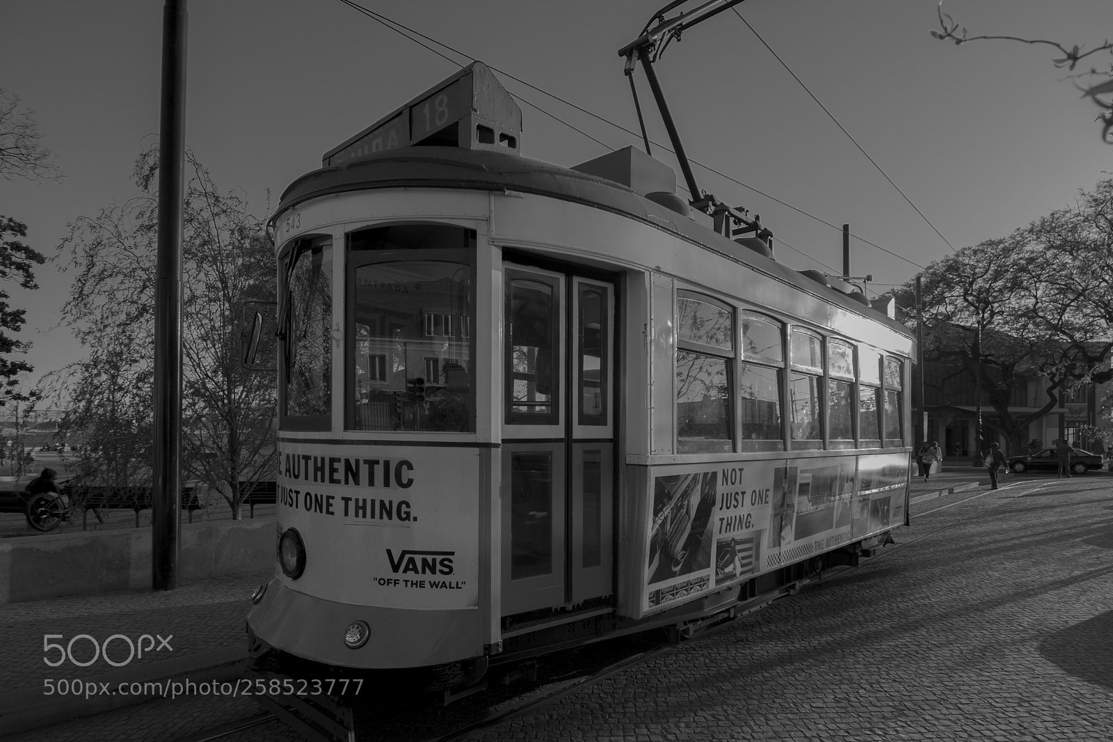 Nikon D610 sample photo. Street photography photography