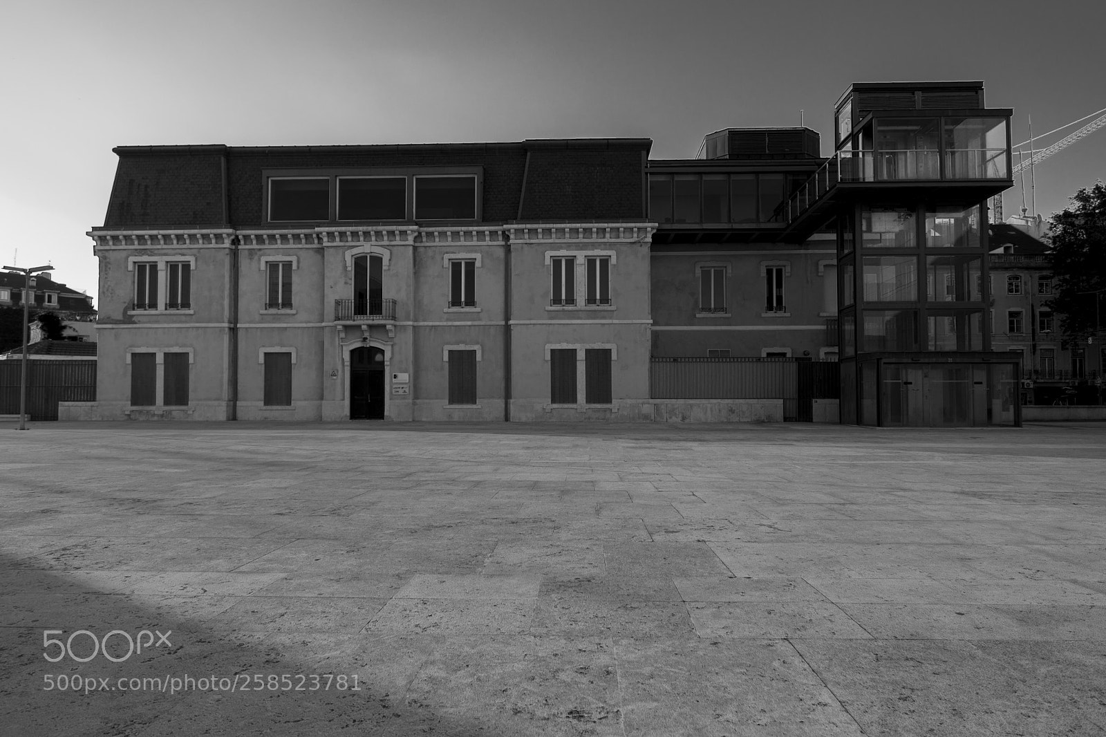 Nikon D610 sample photo. Street photography photography