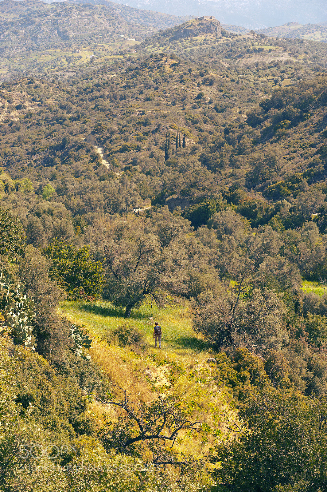 Nikon D700 sample photo. Hiker photography