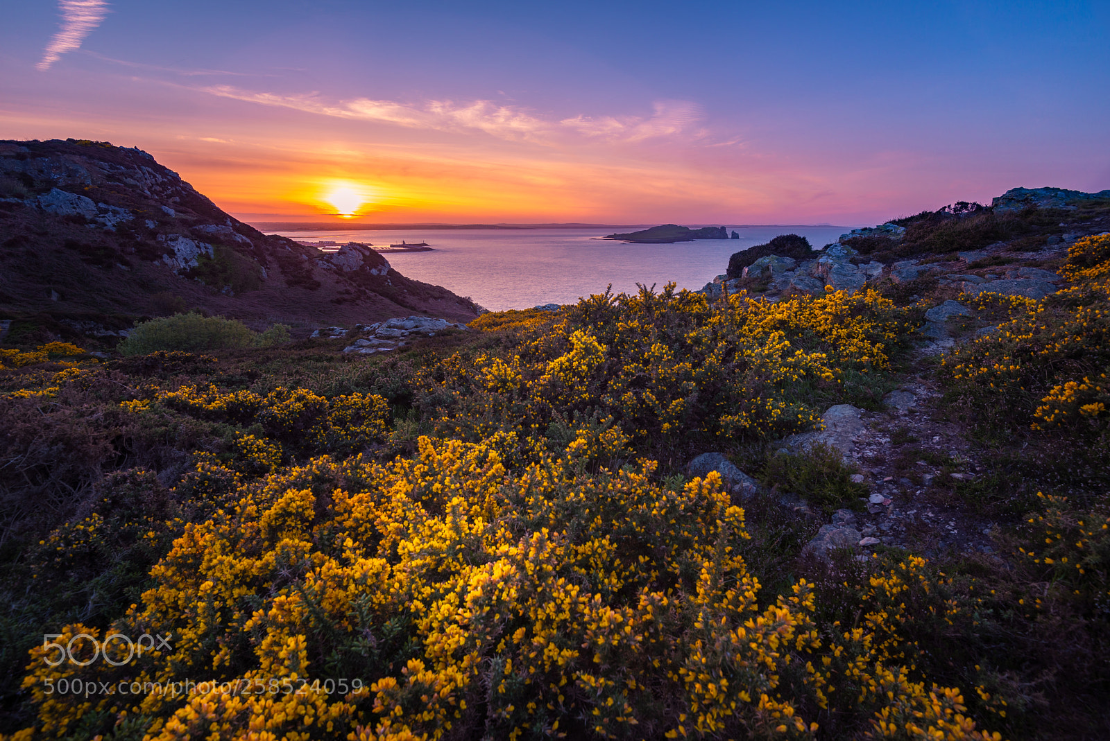 Nikon D610 sample photo. Howth sunset photography
