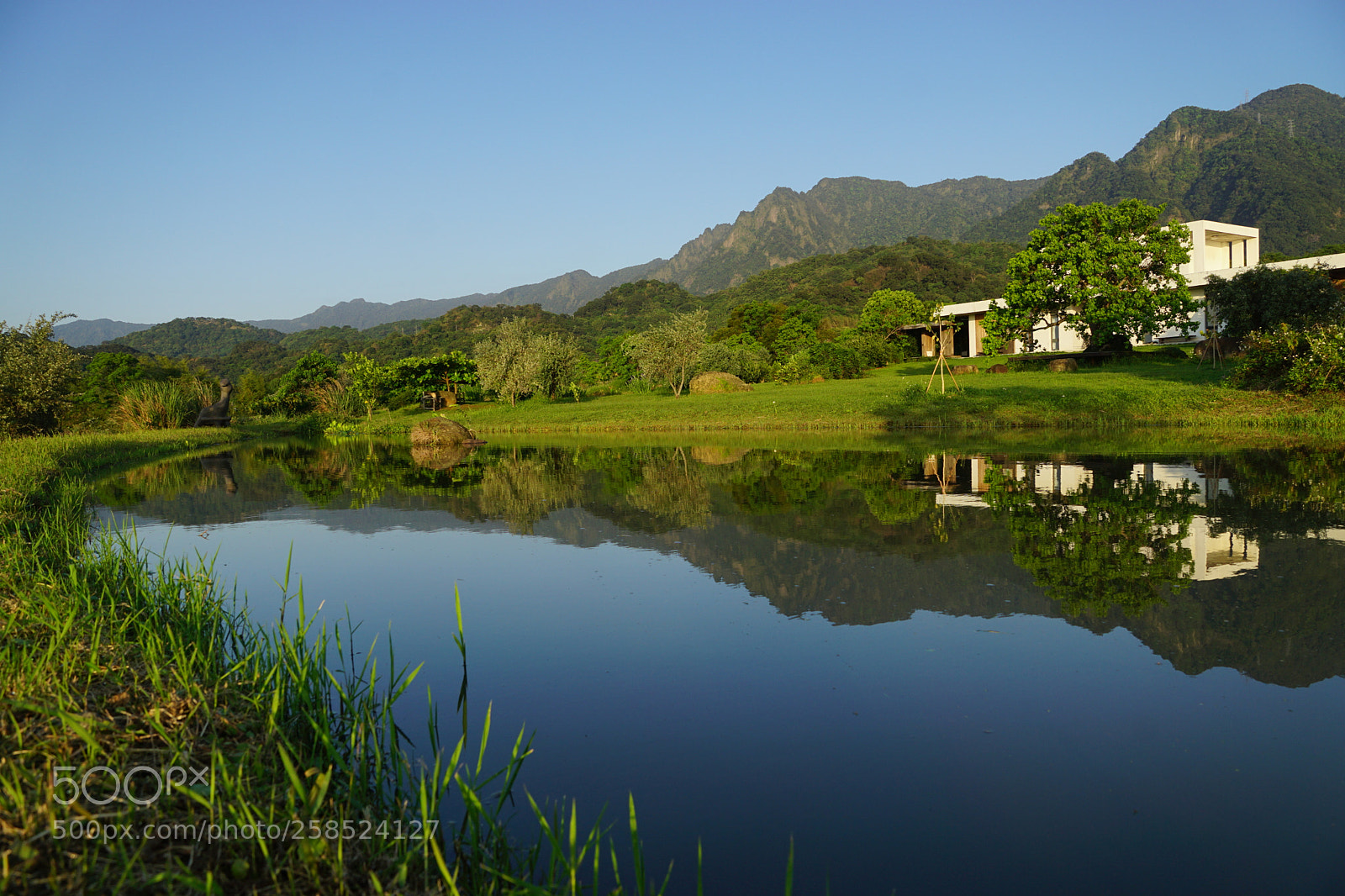 Sony DT 16-50mm F2.8 SSM sample photo. Oasis photography