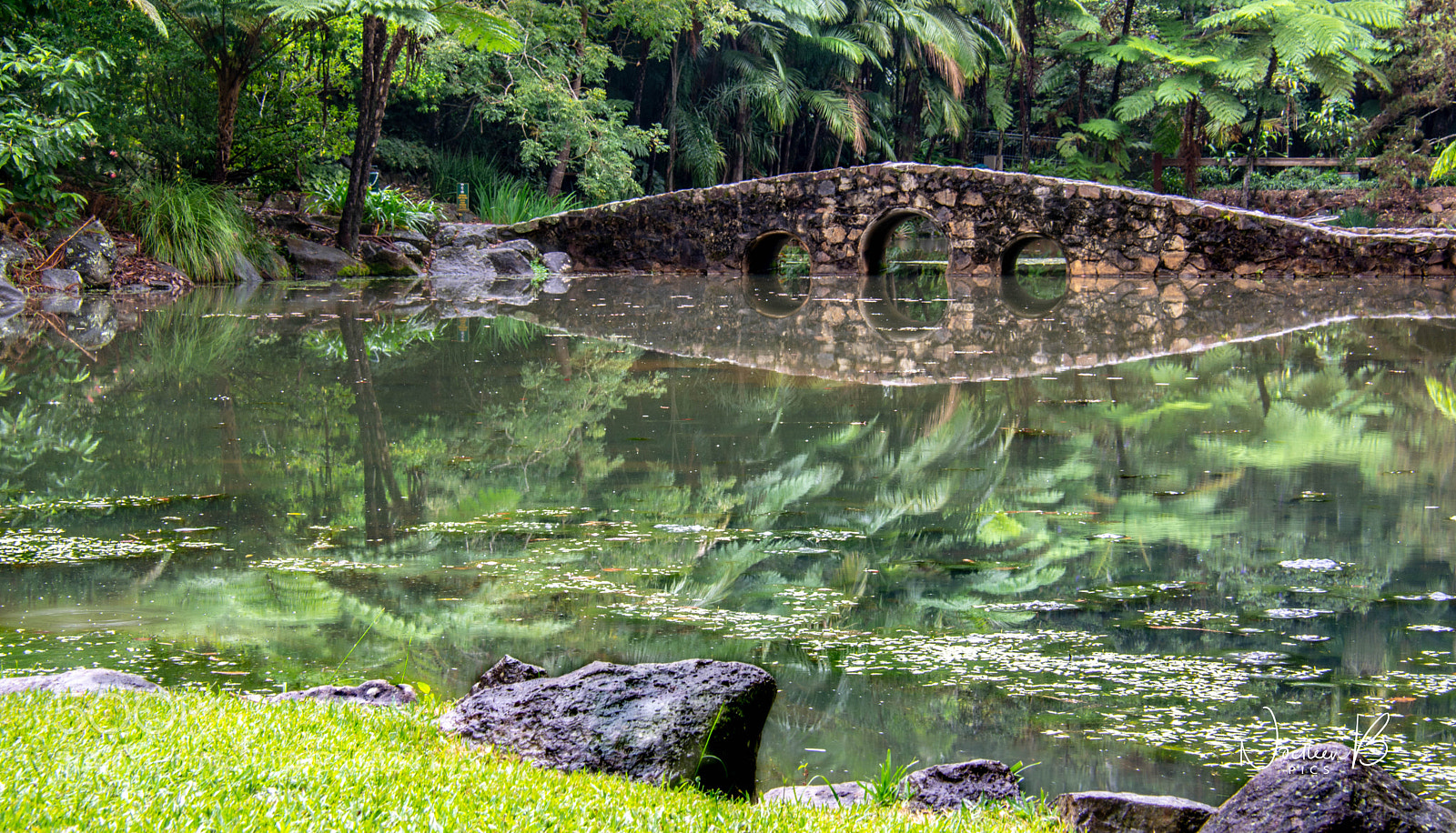 Nikon D5200 sample photo. Tamborine mountain botanic garden photography