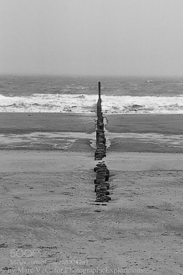 Sony ILCA-77M2 sample photo. Sand beach photography