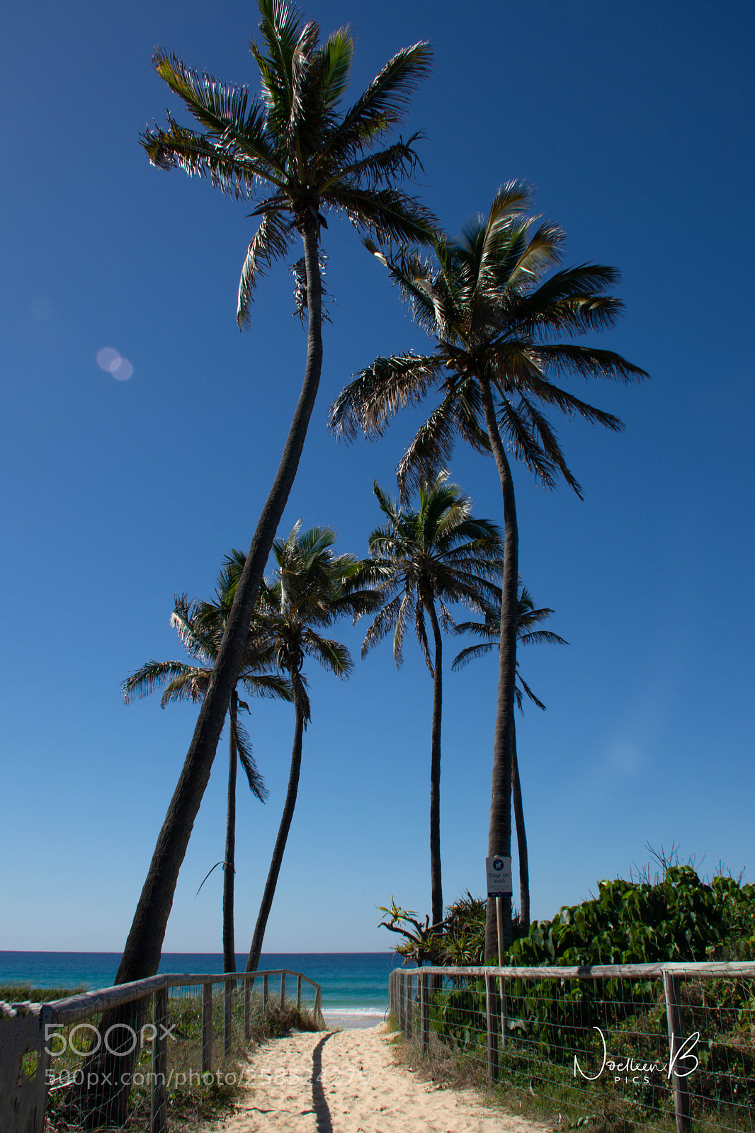 Nikon D5200 sample photo. Main beach, gold coast photography