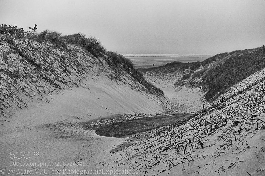 Sony ILCA-77M2 sample photo. Sand beach photography