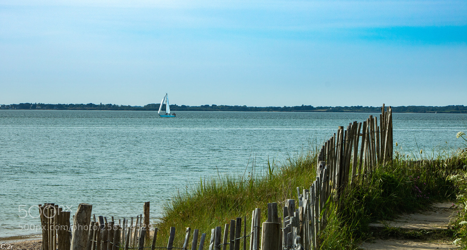 Canon EOS 750D (EOS Rebel T6i / EOS Kiss X8i) sample photo. Good day to you  photography