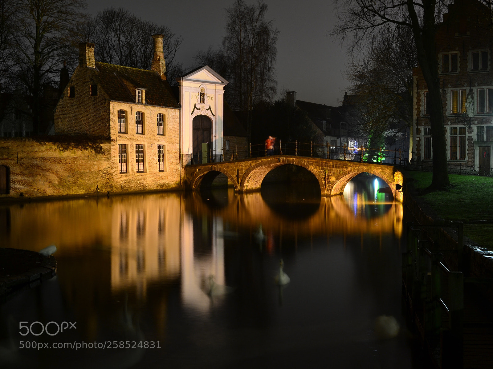Nikon D3100 sample photo. Bridge photography