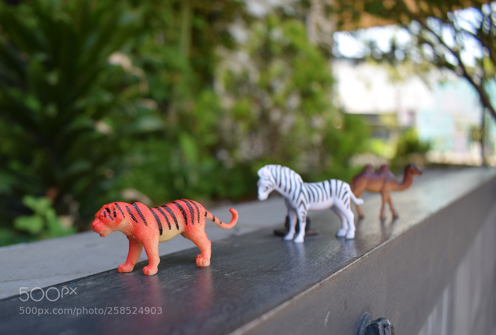 Nikon D3300 sample photo. Untitled photography
