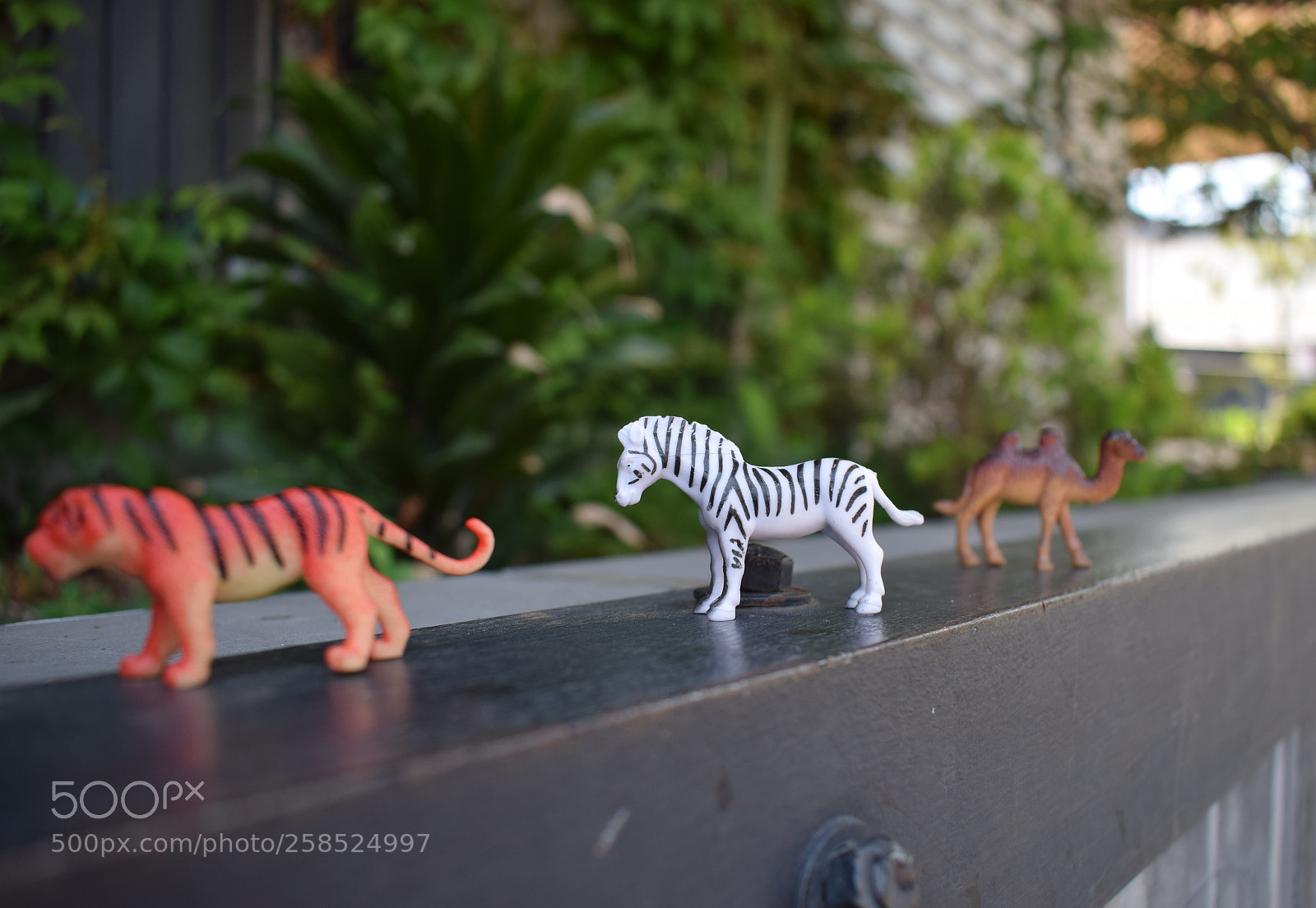 Nikon D3300 sample photo. Untitled photography