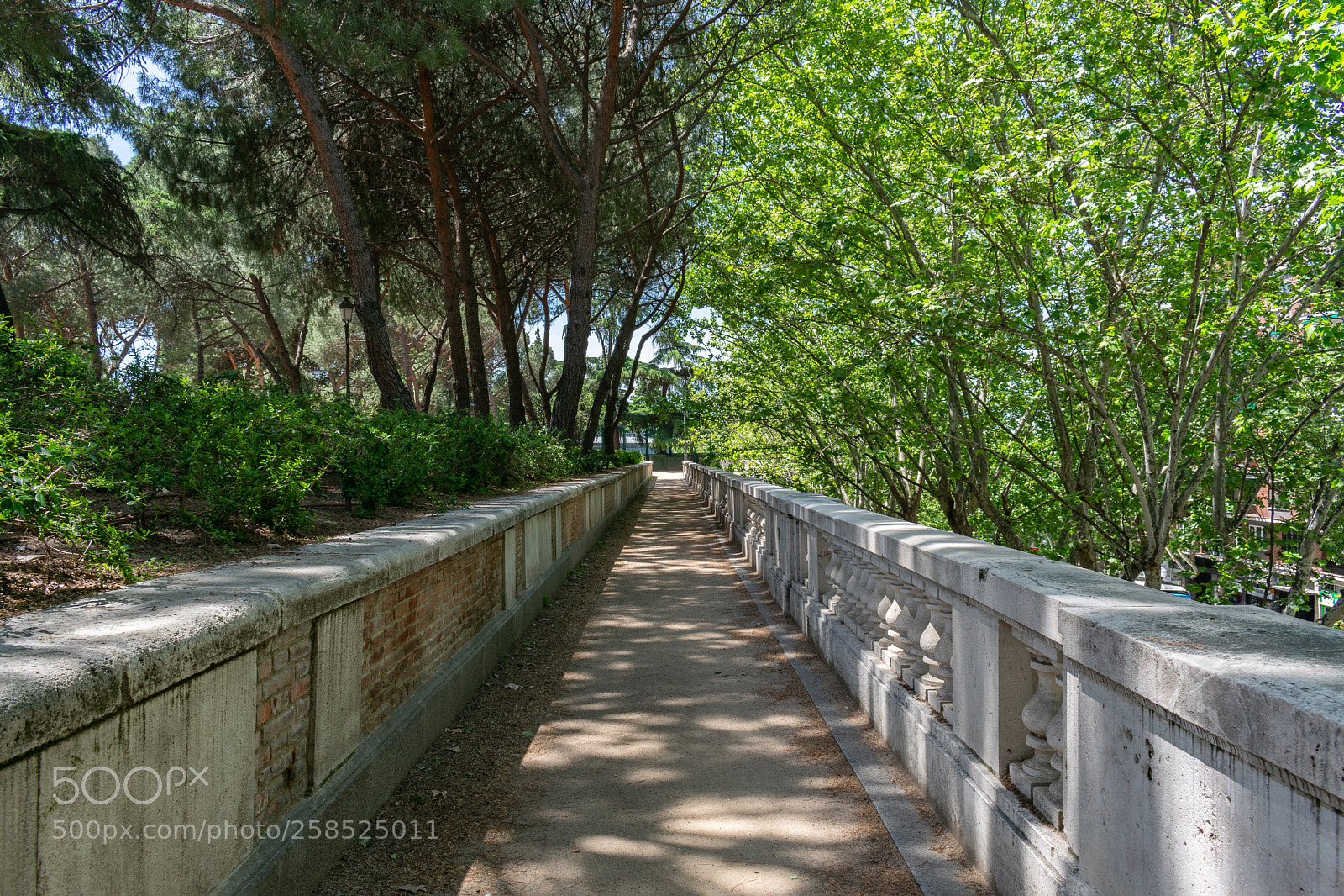 Nikon D3400 sample photo. Path photography