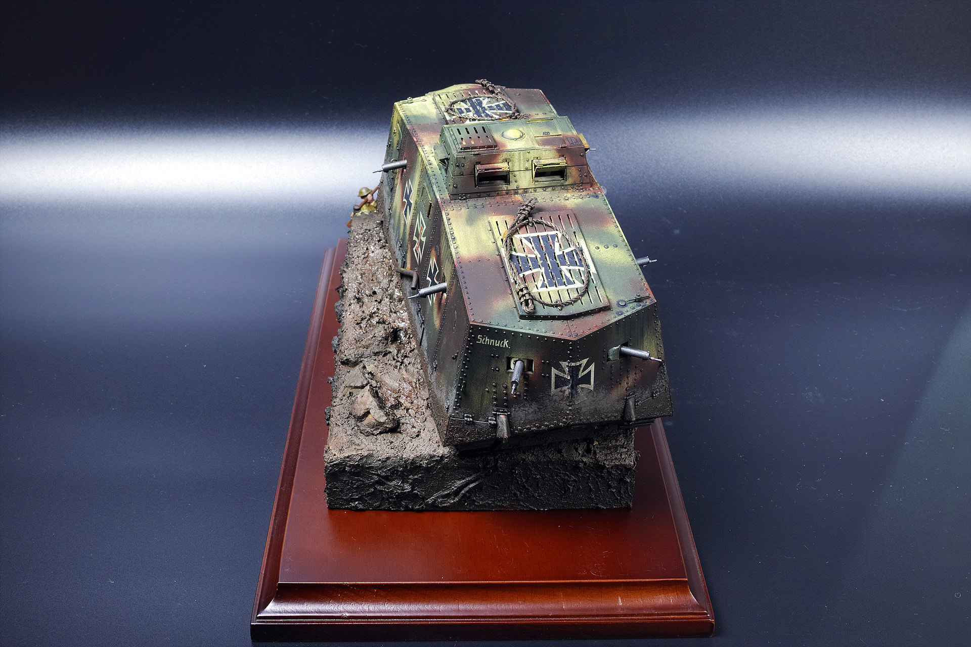 Sigma dp2 Quattro sample photo. A7v tank photography