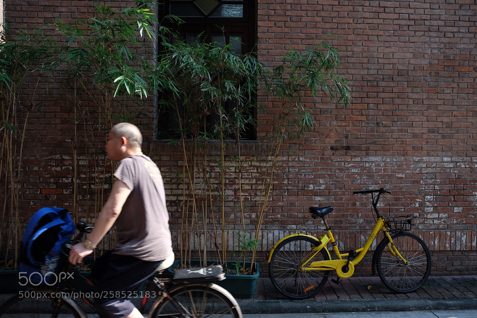 Fujifilm X-T1 sample photo. Untitled photography