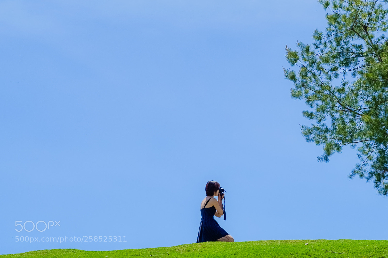Sony a7R sample photo. 清境01 photography