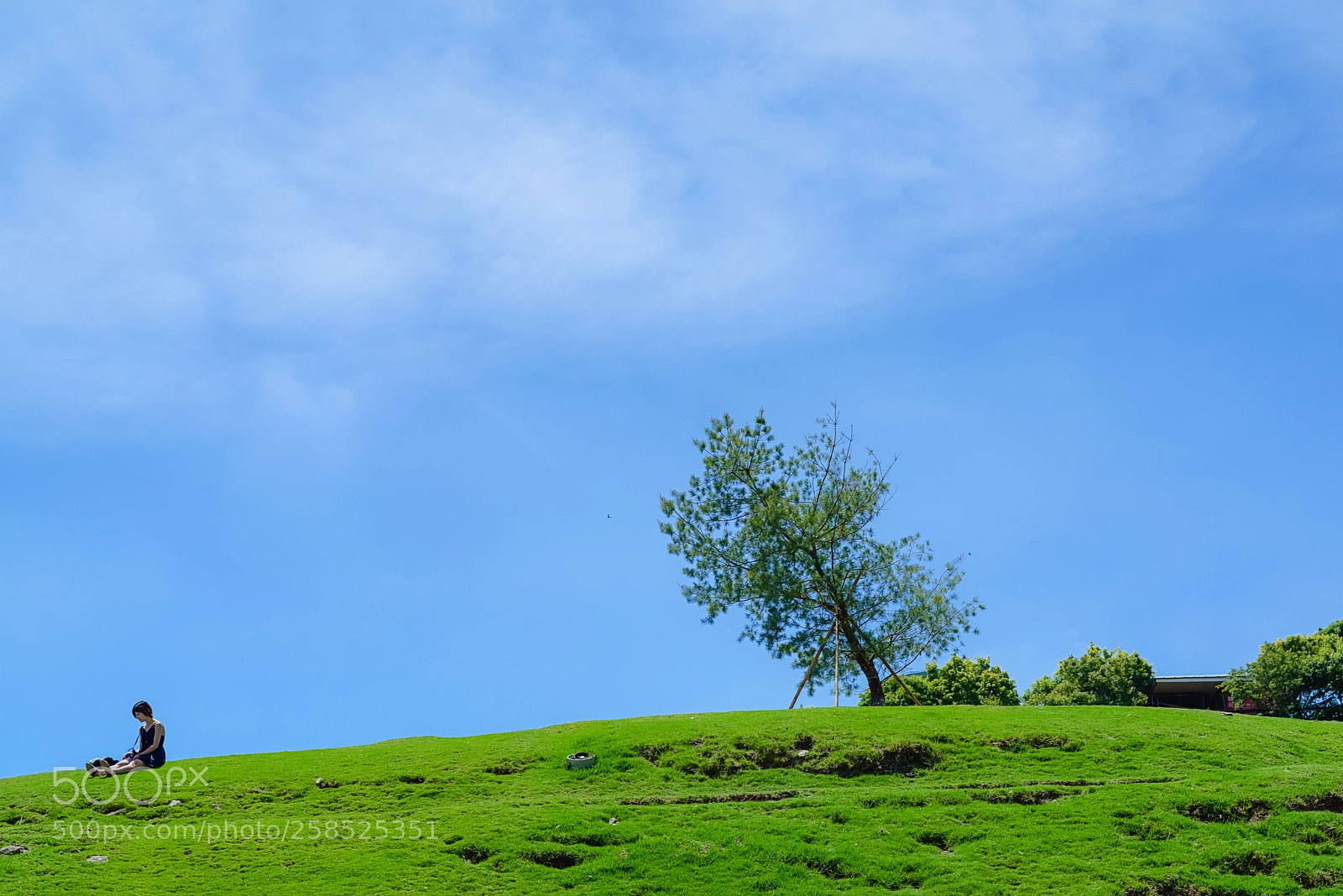 Sony a7R sample photo. 清境02 photography