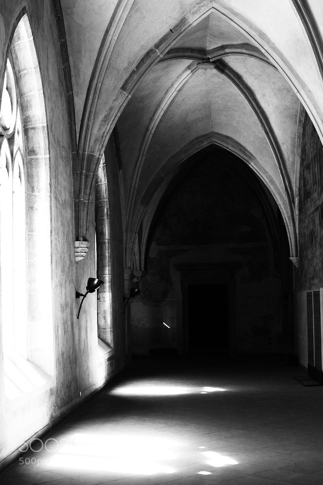 Sony SLT-A58 sample photo. Abbey ii photography