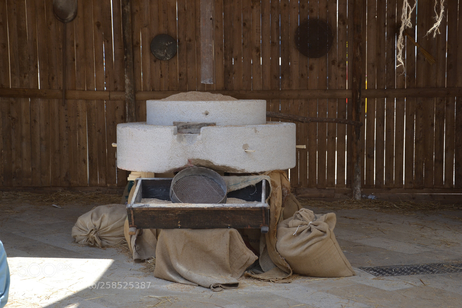 Nikon D3100 sample photo. Untitled photography