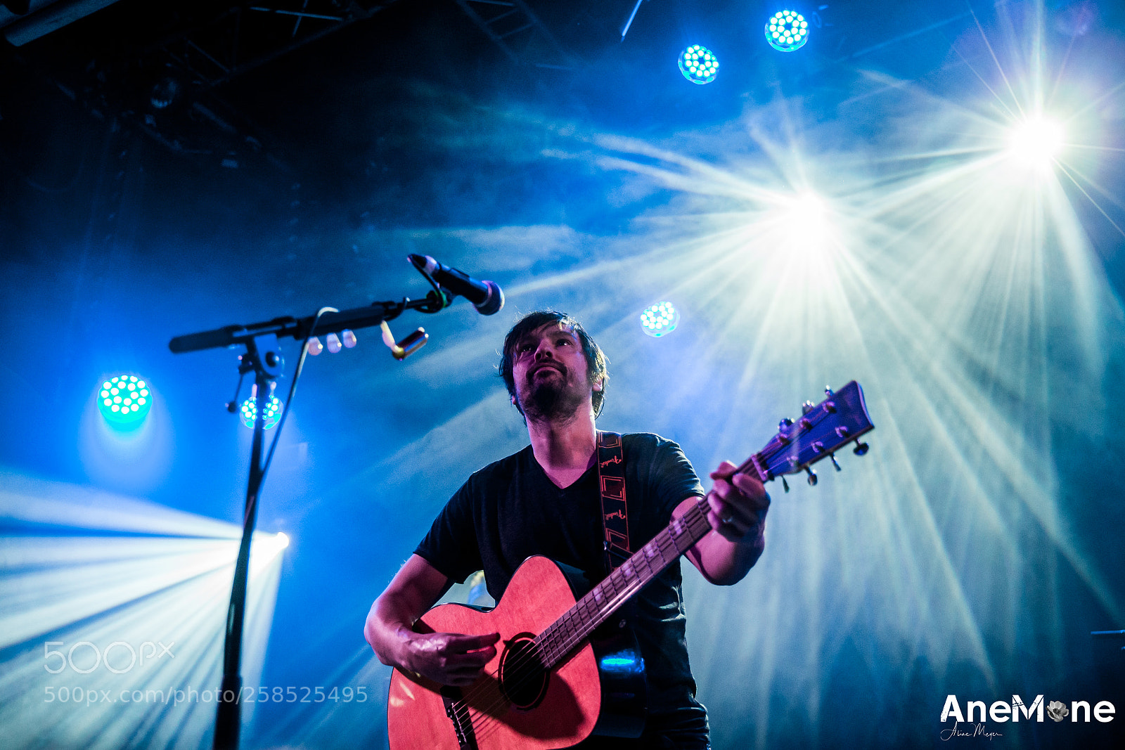 Canon EOS-1D X sample photo. The pineapple thief photography