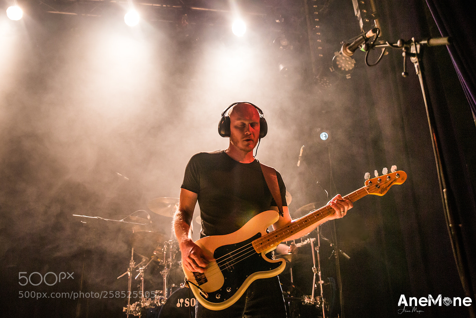 Canon EOS-1D X sample photo. The pineapple thief photography