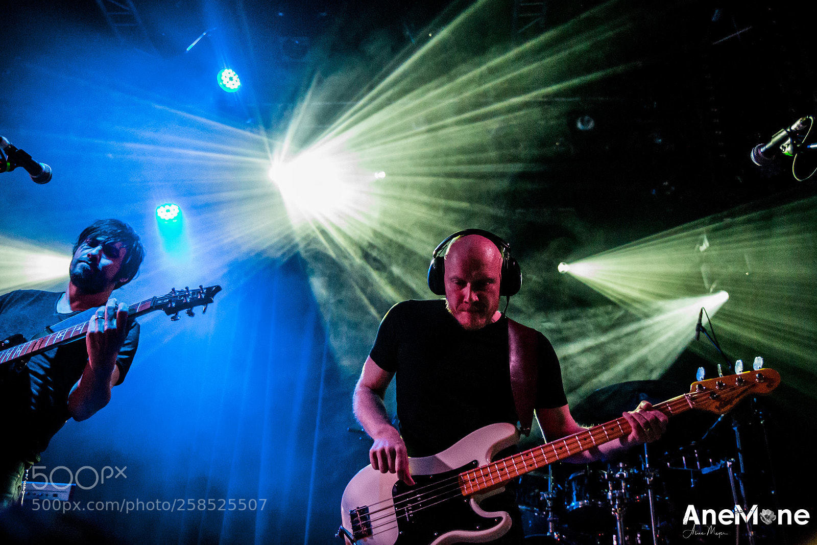 Canon EOS-1D X sample photo. The pineapple thief photography