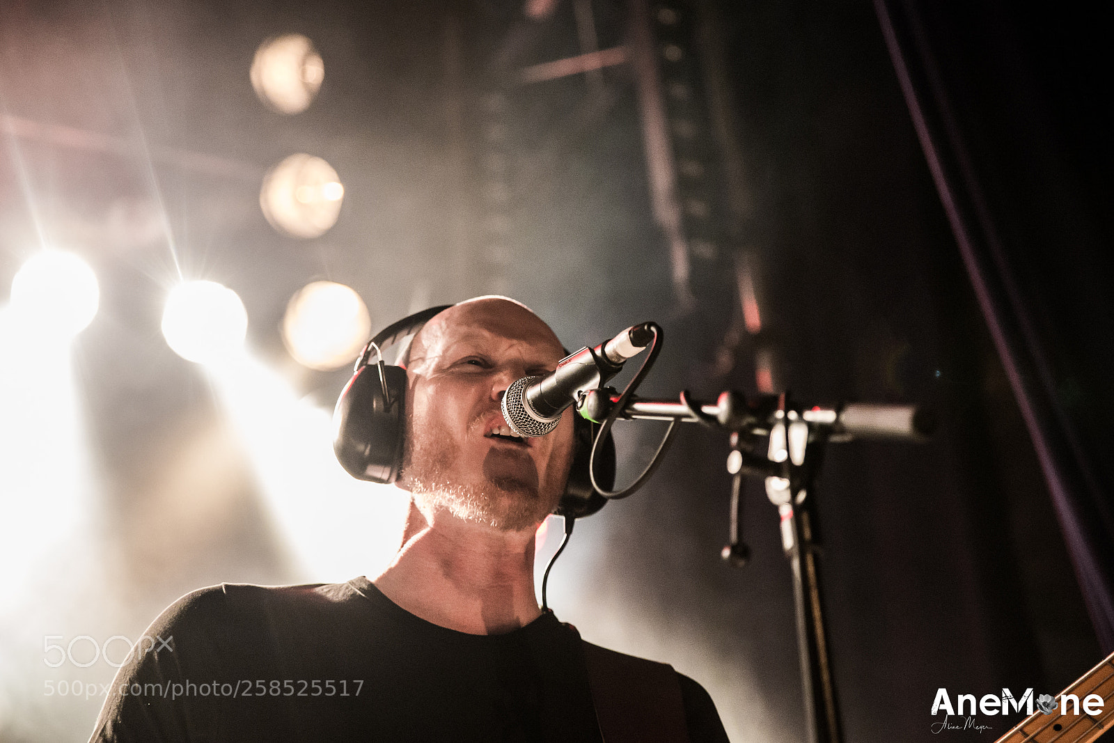 Canon EOS-1D X sample photo. The pineapple thief photography