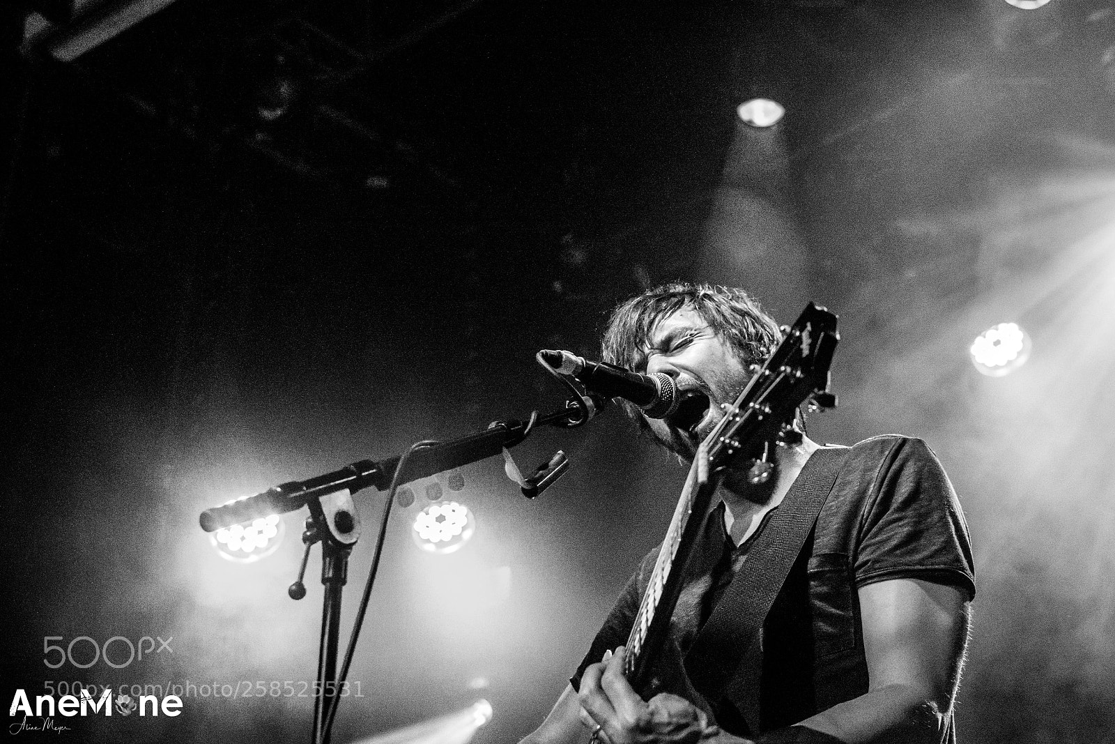 Canon EOS-1D X sample photo. The pineapple thief photography