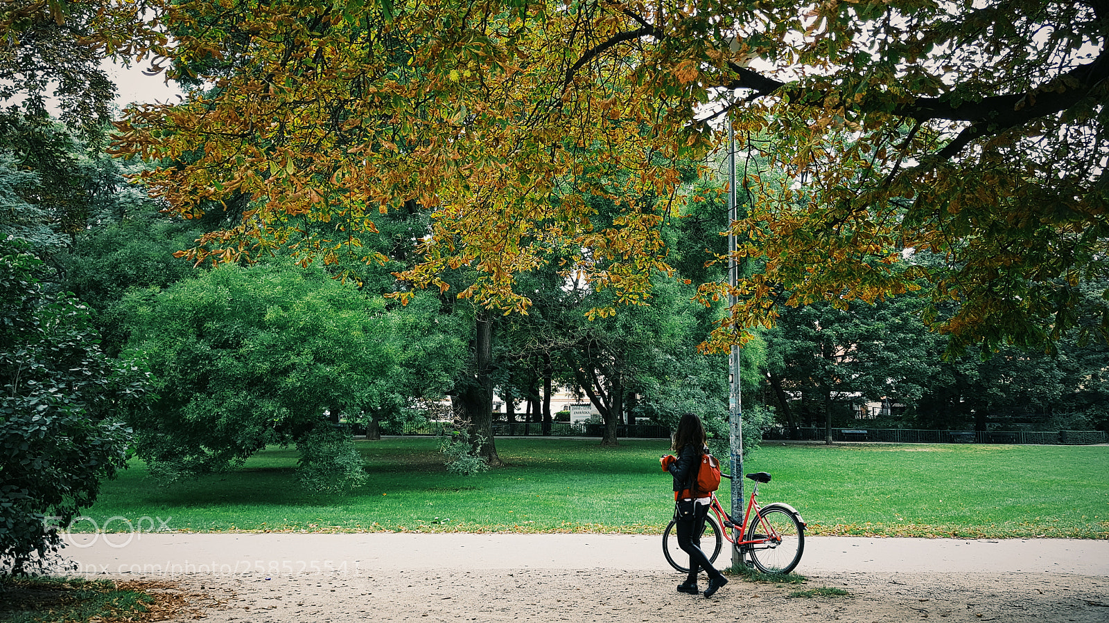 Samsung Galaxy S8+ sample photo. Kampa island prague by photography