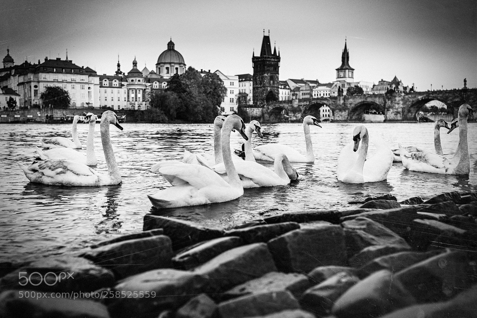 Nikon D750 sample photo. Прага photography