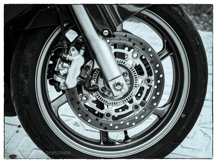 Olympus OM-D E-M1 sample photo. . photography