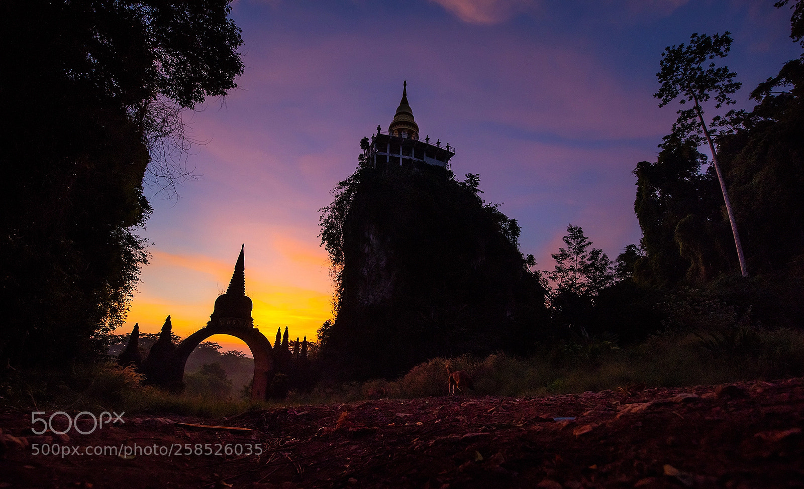 Nikon D810 sample photo. Buddha park surat-thani photography