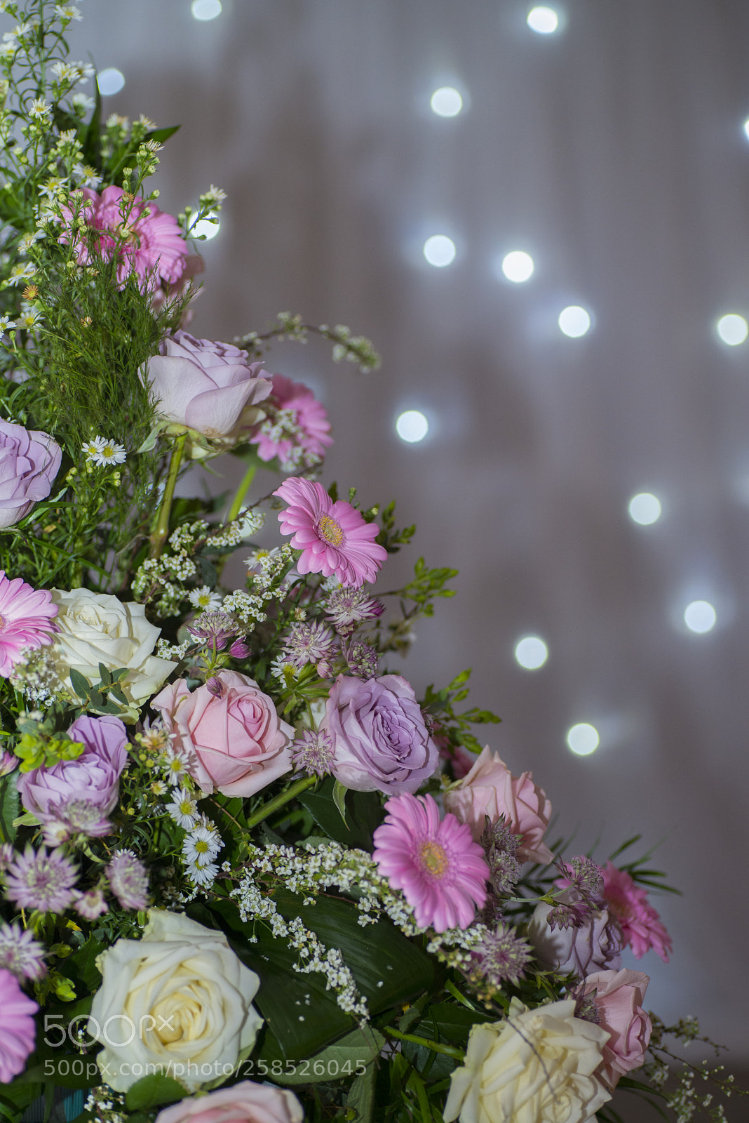 Nikon D600 sample photo. Rebecca & stuart photography
