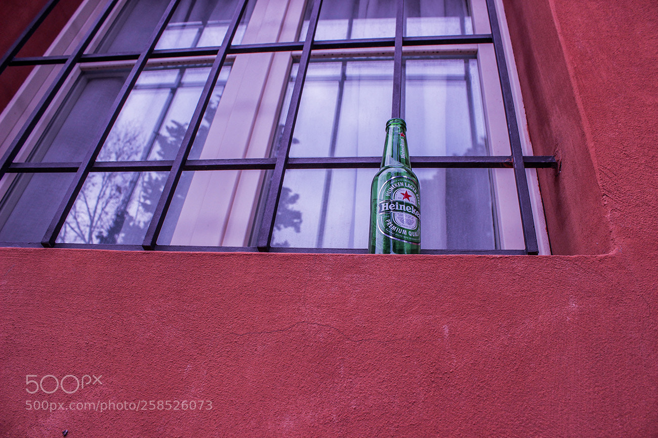 Canon EOS 600D (Rebel EOS T3i / EOS Kiss X5) sample photo. A lonely beer photography