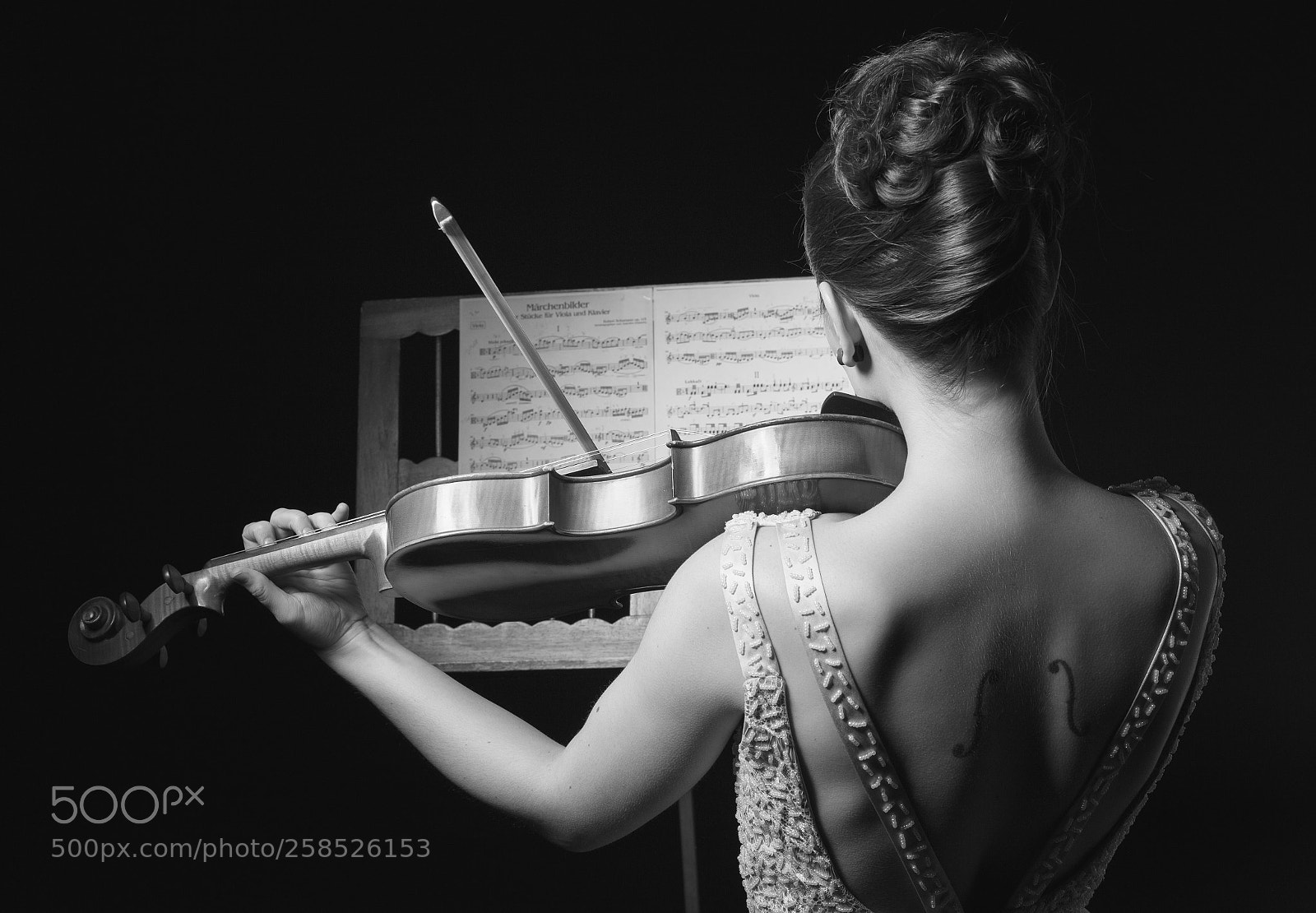 Canon EOS 6D sample photo. Johanna - the viola photography
