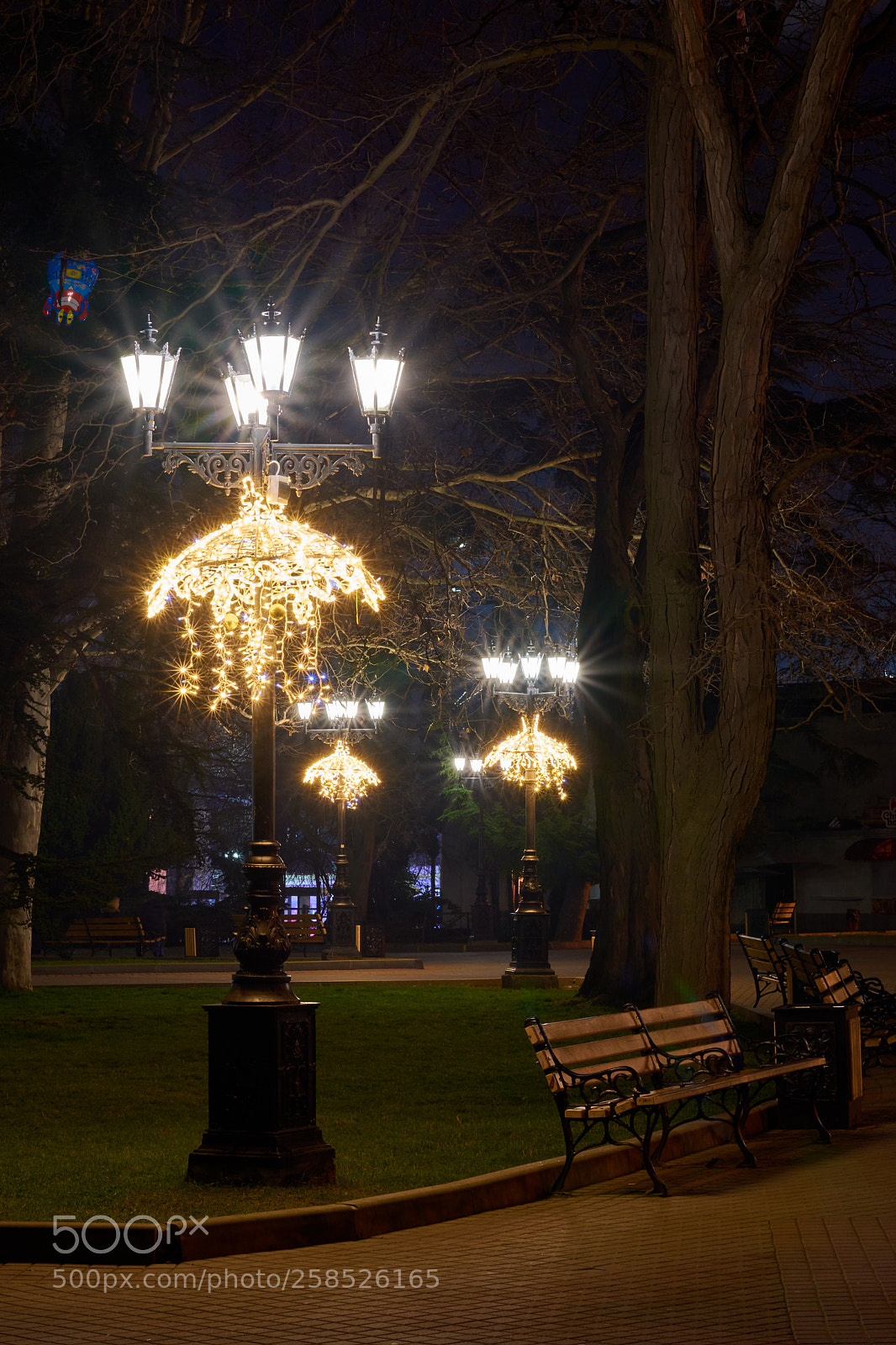 Nikon D7200 sample photo. Xmass boulevard photography