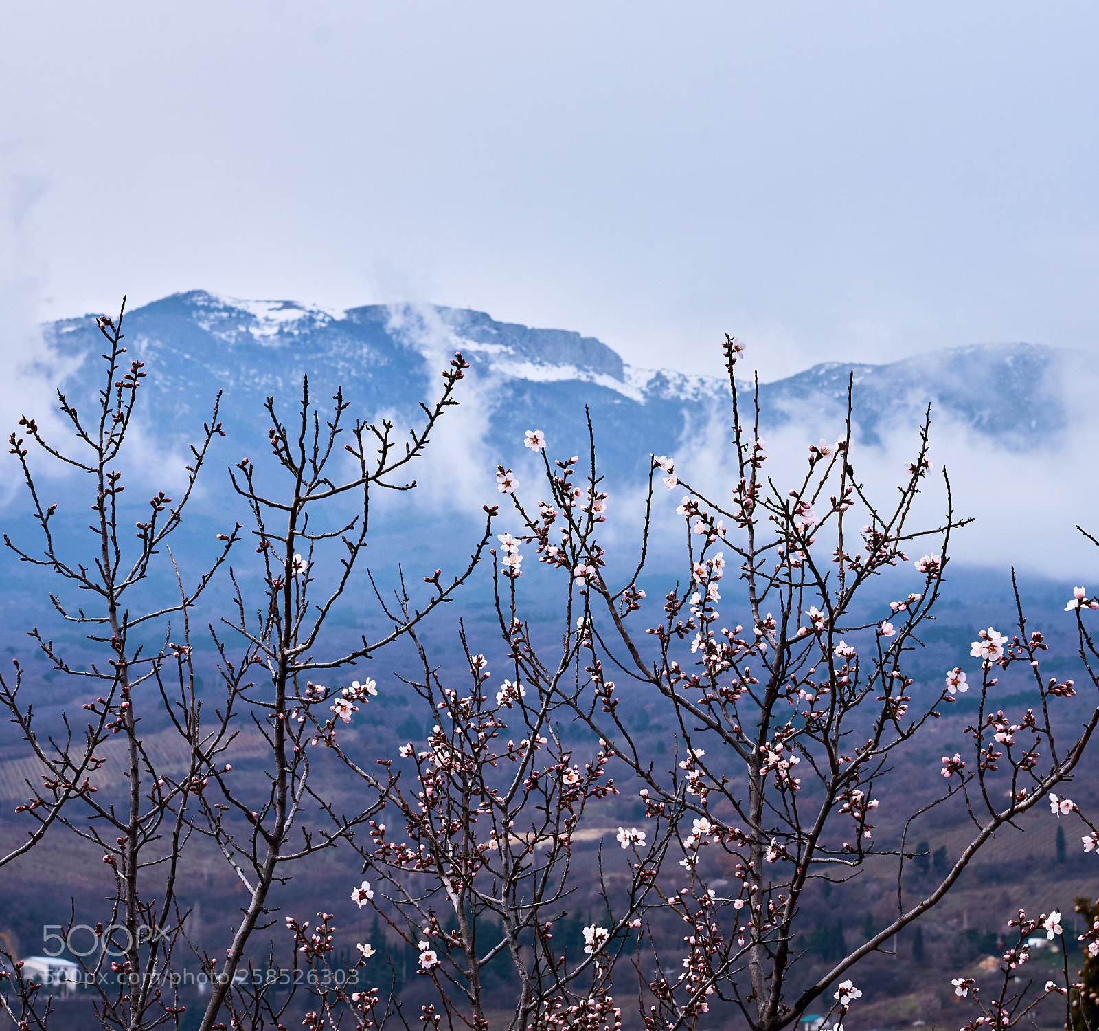 Nikon D7200 sample photo. Mountains photography