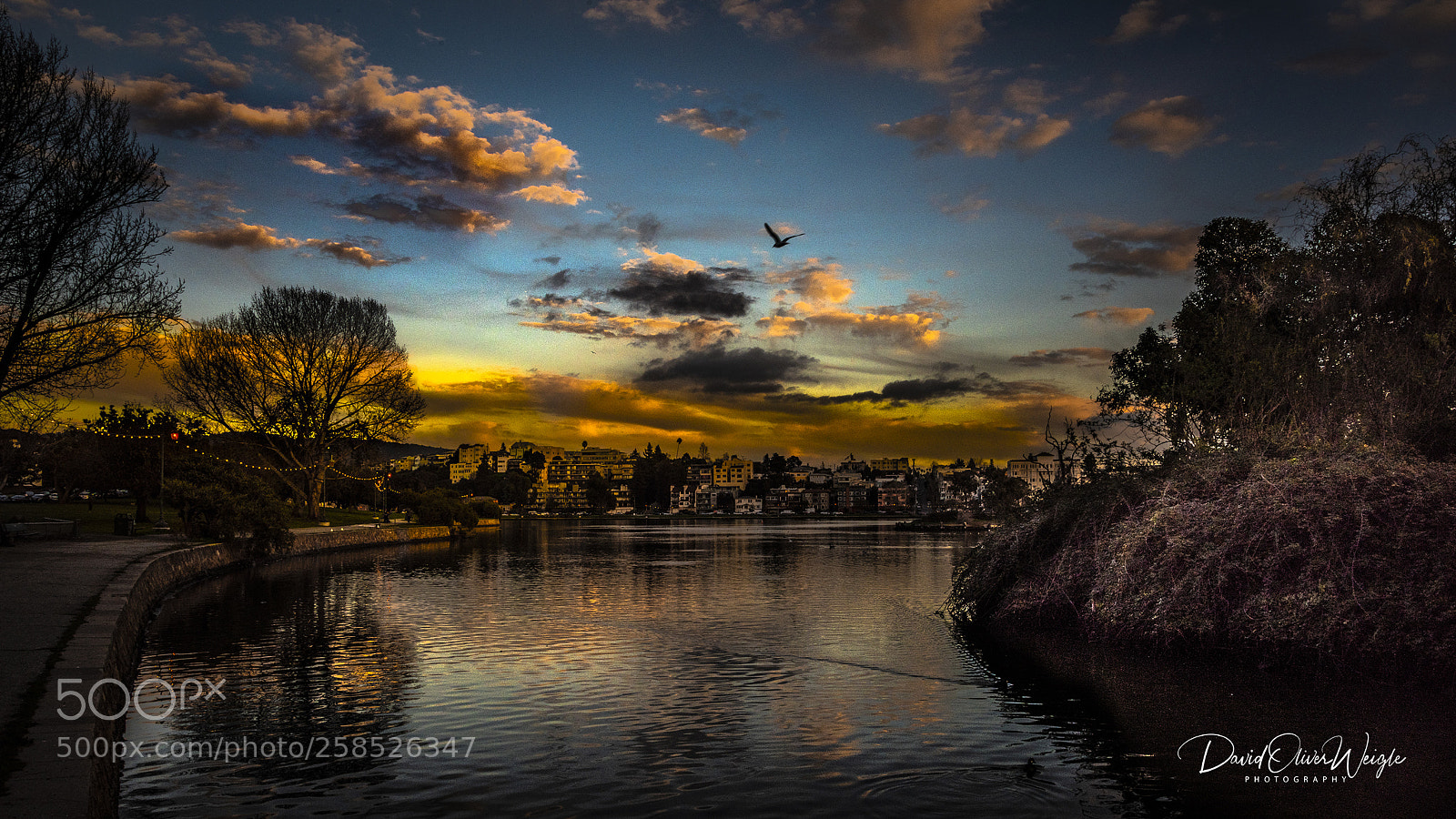 Nikon D810 sample photo. L ake merrit view #24 photography