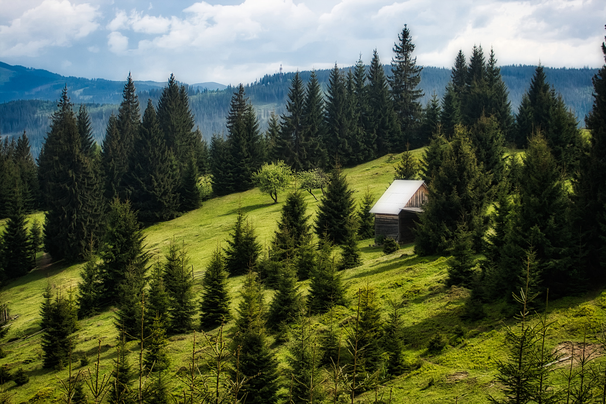 Canon EF 55-200mm F4.5-5.6 II USM sample photo. Somewhere in bucovina photography