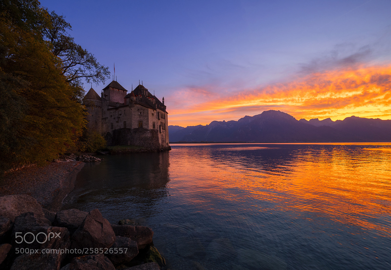 Olympus OM-D E-M1 Mark II sample photo. Evening chillon photography