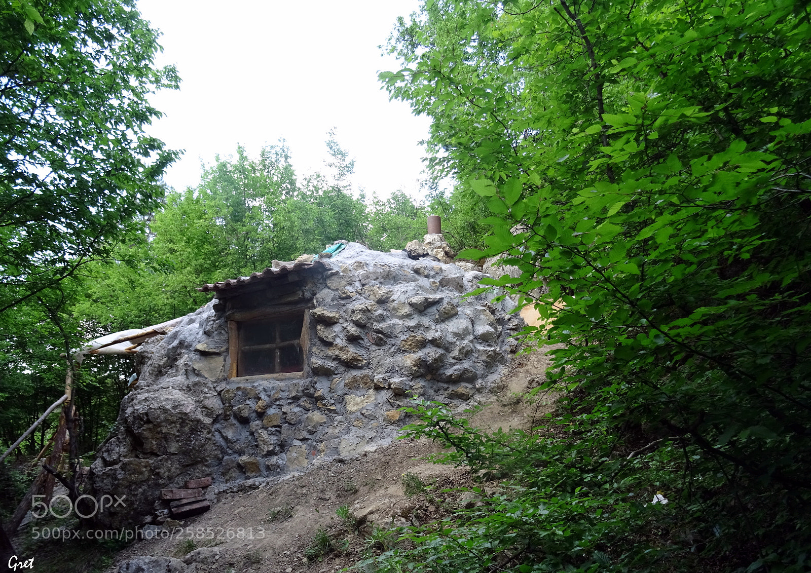 Sony DSC-HX60 sample photo. Living in the forest photography